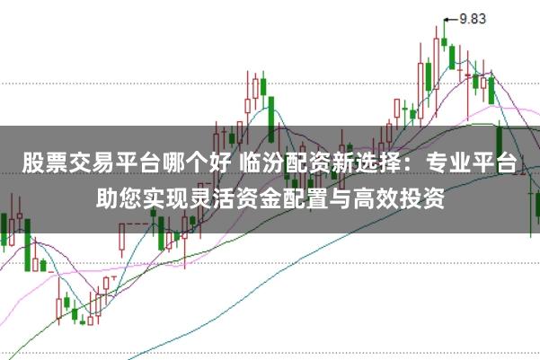 股票交易平台哪个好 临汾配资新选择：专业平台助您实现灵活资金配置与高效投资