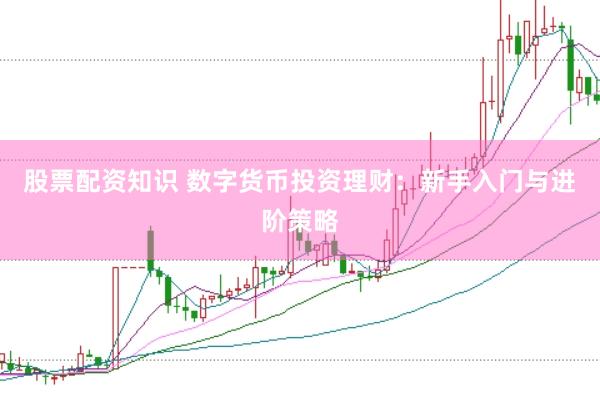 股票配资知识 数字货币投资理财：新手入门与进阶策略