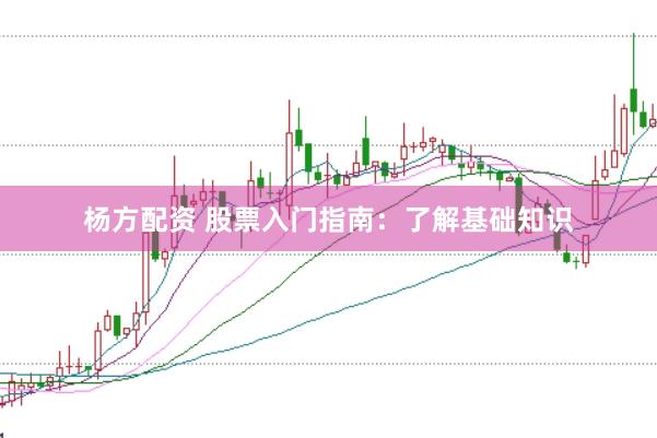杨方配资 股票入门指南：了解基础知识