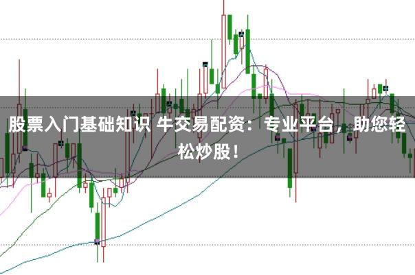 股票入门基础知识 牛交易配资：专业平台，助您轻松炒股！