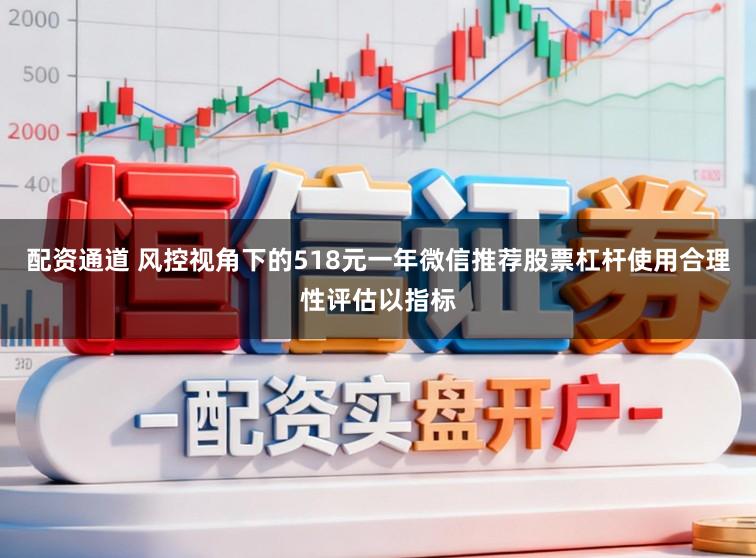 配资通道 风控视角下的518元一年微信推荐股票杠杆使用合理性评估以指标