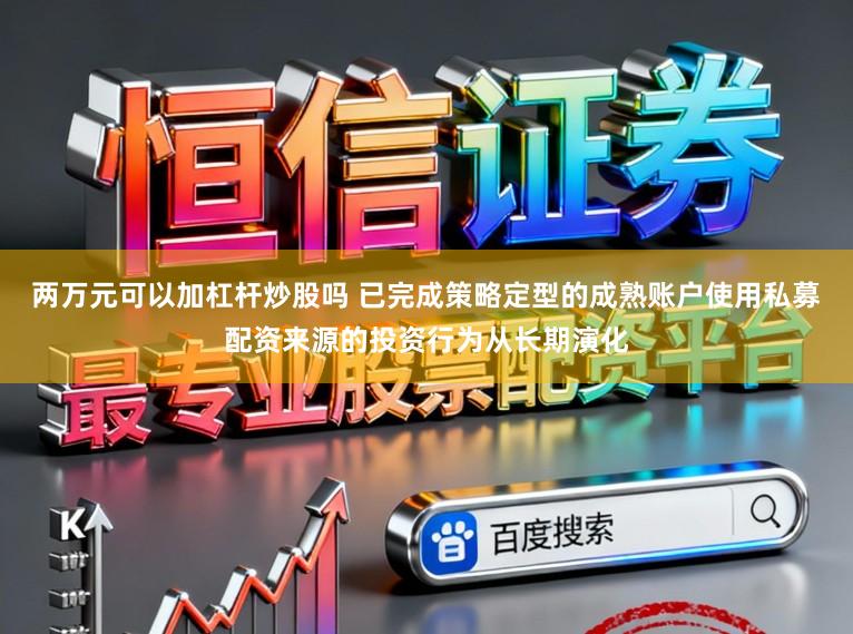 两万元可以加杠杆炒股吗 已完成策略定型的成熟账户使用私募配资来源的投资行为从长期演化