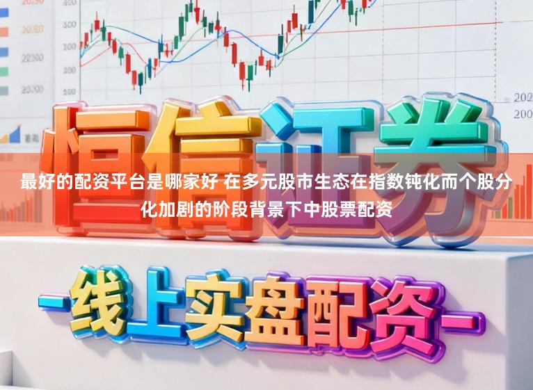 最好的配资平台是哪家好 在多元股市生态在指数钝化而个股分化加剧的阶段背景下中股票配资